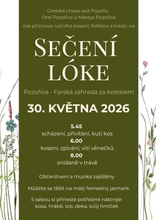 Plakát