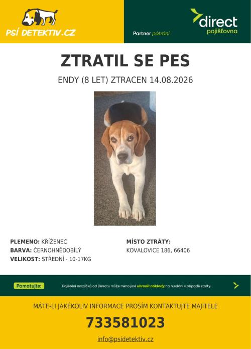 leták